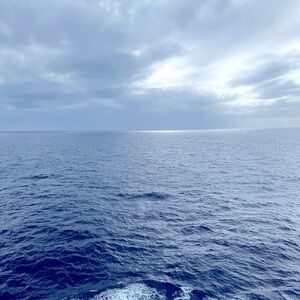 Meet your Posher, Lea